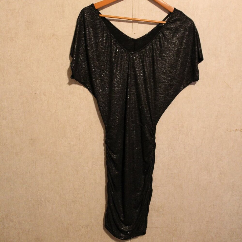 Express Sparkly Dress